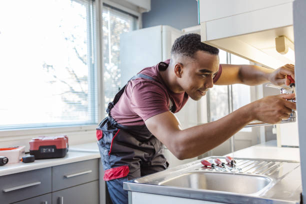 Best Clogged Drain Plumber  in Hebron, IL